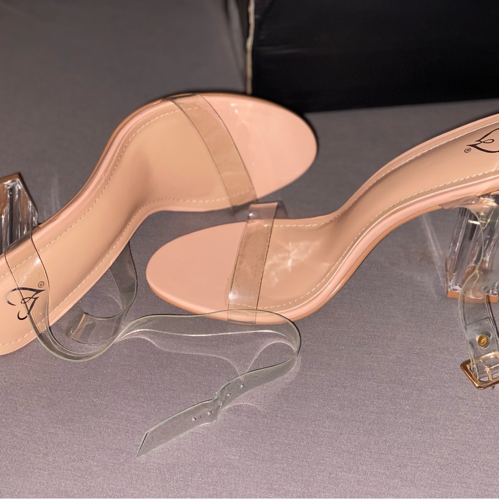Windsor Nude and Clear Strap Heels